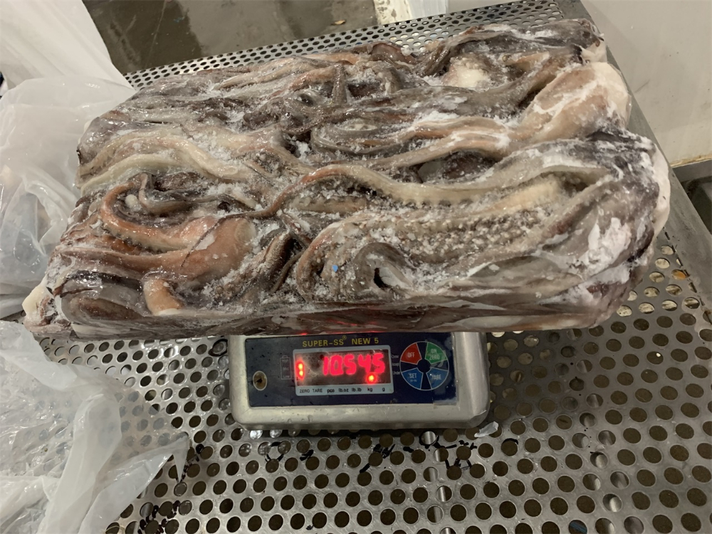 冷凍魷魚(yú)須 FROZEN GIANT SQUID TENTACLES