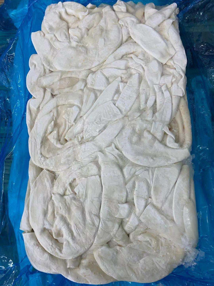 煙臺進口秘魯魷魚 (3).jpg