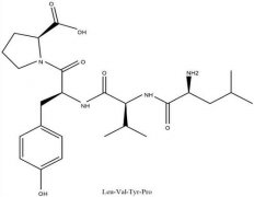 多肽的副作用是什么？